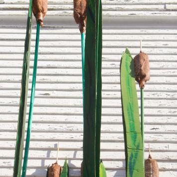 Cattails: Each of these 23 cattails is in perfect condition and  stand majestically at up to 10 feet high.  Adopt one or all! One cattail requires 1 person to carry. 