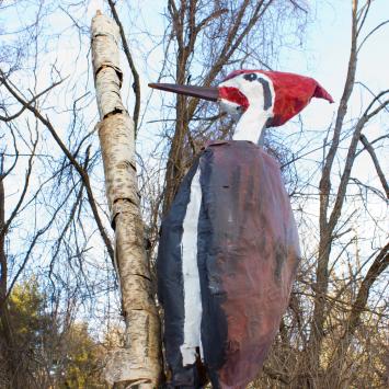 Pileated Woodpecker: This beautiful red-crested bird is in excellent condition but needs a rolling stand to make him less heavy and awkward to carry.  Requires 1 strong person to carry.  Year created: 1999.  By: Middlesex Environmental Club School.