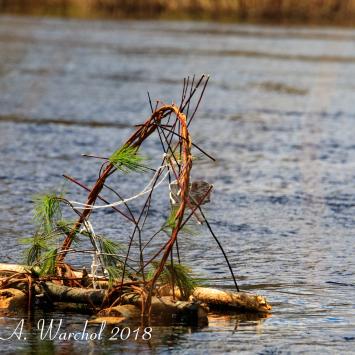 Earth-Day-2018-by-Nicholas-Warchol (4).jpg
