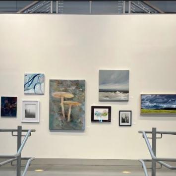Earth Month Exhibition 2022 Photo - Art in gallery