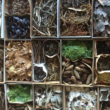 Gathering Places Natural Materials