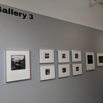 Gallery 3 2019