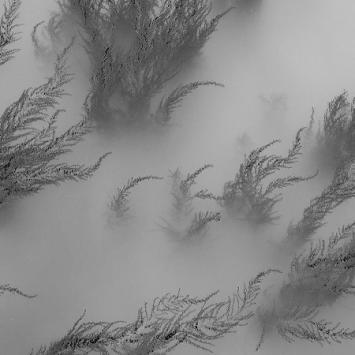Still detail showing underwater scenes from the film Into the Oceanic