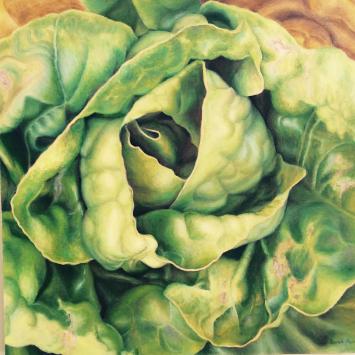 Sarah Paino - Lettuce