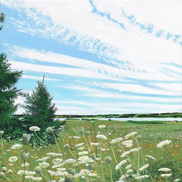 Louise Arnold - Queen Annes Lace painting of flowers in a field