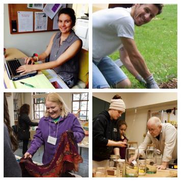 Volunteer Opportunities