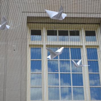 Artfest Here Comes the Sun Doves Installation Begins by Priscilla Sturges 